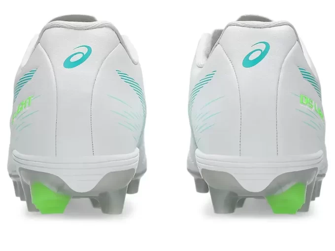 DS LIGHT JR GRADE SCHOOL