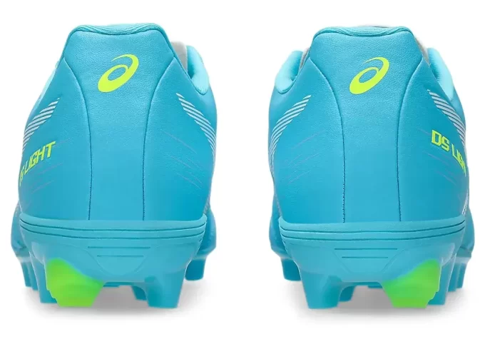 DS LIGHT JR GRADE SCHOOL