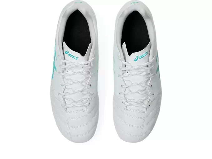 DS LIGHT JR GRADE SCHOOL