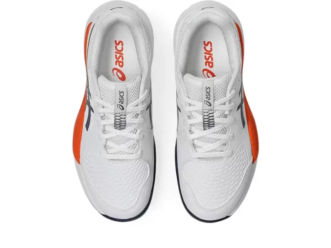 GEL-RESOLUTION X GRADE SCHOOL