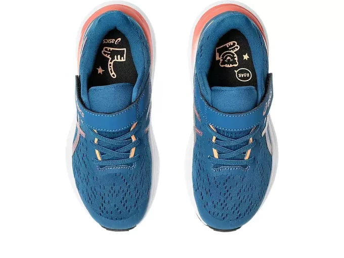 GT-1000 13 VORSCHULE