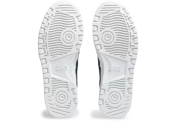 JAPANISCHE GRUNDSCHULE JAPANISCHE GRUNDSCHULE