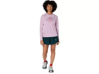 LANGARM-OBERTEIL MIT FUJITRAIL-LOGO