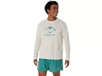 LANGARM-OBERTEIL MIT FUJITRAIL-LOGO