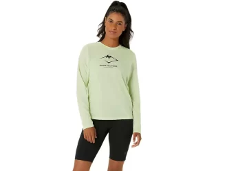 LANGARM-OBERTEIL MIT FUJITRAIL-LOGO