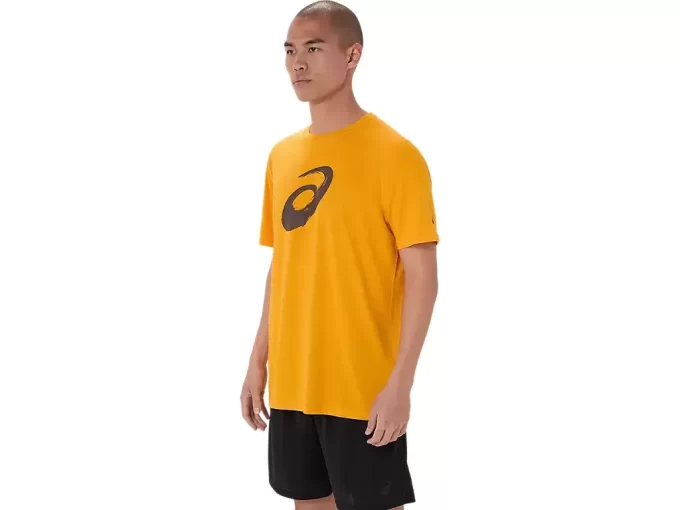 PAINTBRUSH KURZARM-T-SHIRT