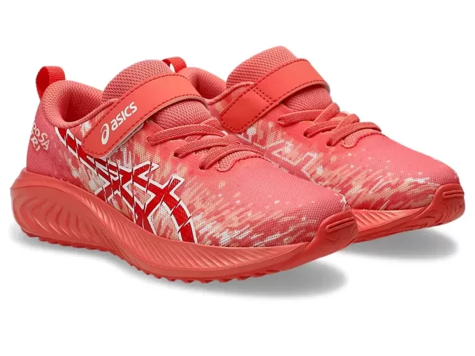 PRE NOOSA TRI 16 VORSCHULE PRE NOOSA TRI 16 VORSCHULE