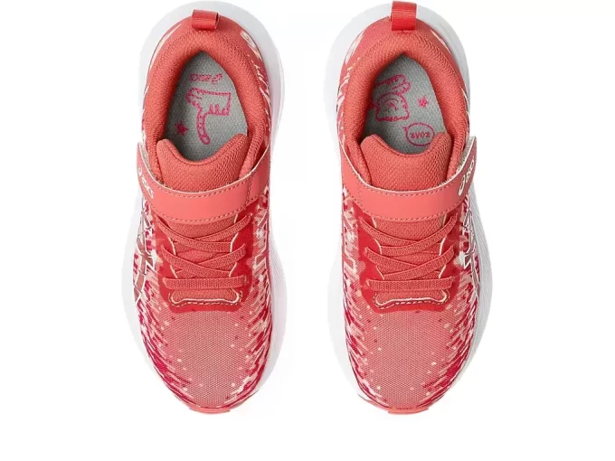 PRE NOOSA TRI 16 VORSCHULE