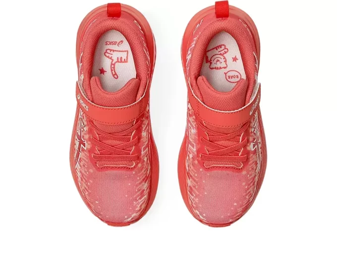 PRE NOOSA TRI 16 VORSCHULE PRE NOOSA TRI 16 VORSCHULE